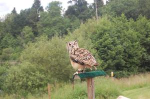 Blair Drummond Safari and Adventure Park 4